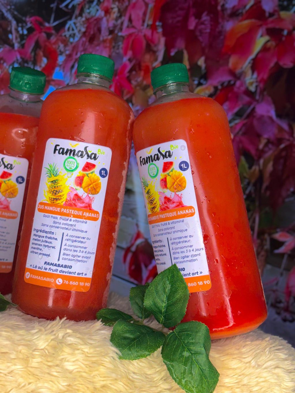 Cocktail Tropical 100% Naturel – Mangue, Pastèque & Ananas | Famasa Bio