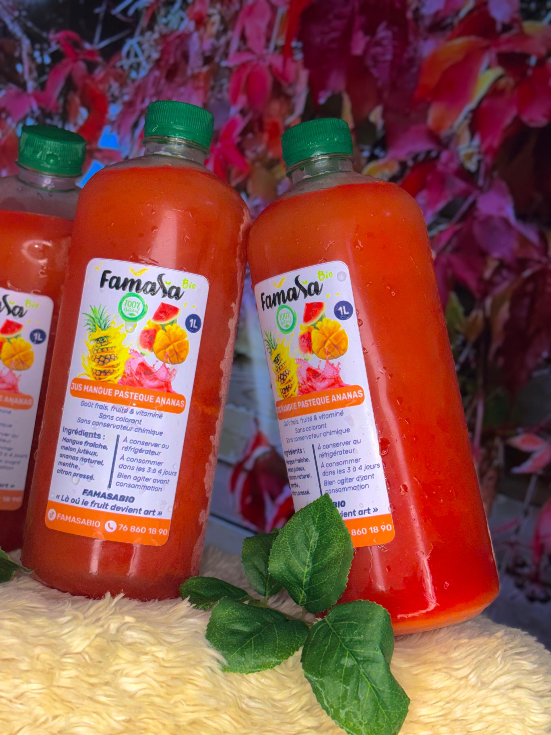 Cocktail Tropical 100% Naturel – Mangue, Pastèque & Ananas | Famasa Bio